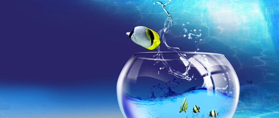 Интернет-магазин "Аквамир"